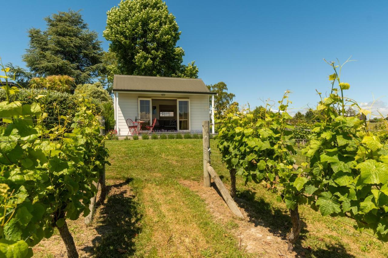 Kina Beach Cottages Tasman Eksteriør billede